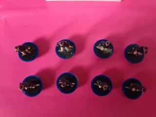 Subbuteo Squadra Vintage Internazionale Milano