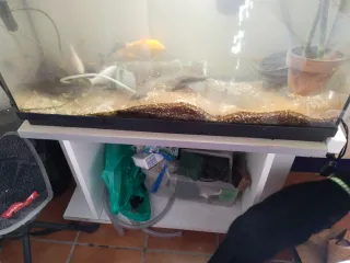 Acuario completo