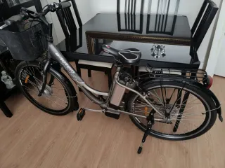 Bicicleta bicicleta eléctrica e-totem