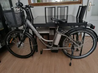 Bicicleta bicicleta eléctrica e-totem