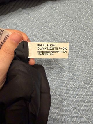 Plumífero The North Face Negro con Capucha