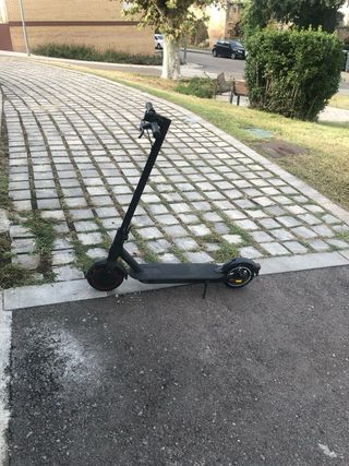 Patinete Eléctrico Xiaomi Pro 2