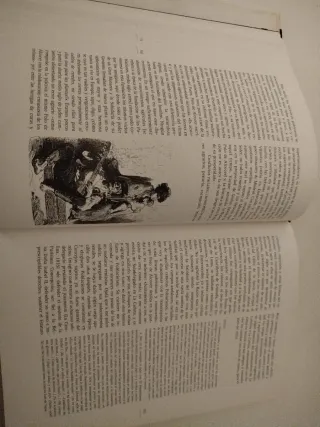 Libro Memorias del flamenco.