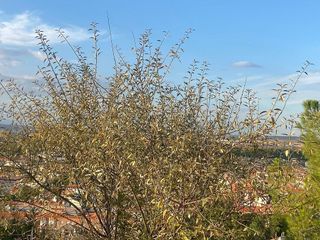 Terreno en venta en Nuevo Aranjuez en Aranjuez
