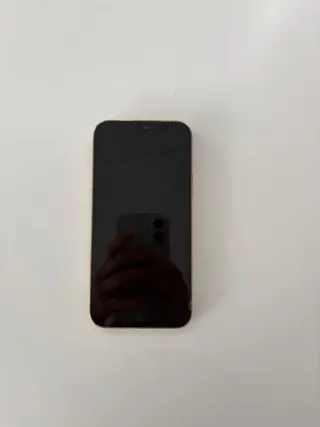 iPhone 12 Pro 256GB dorado y blanco .