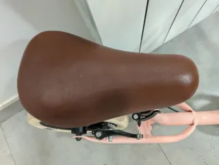 Bicicleta sin pedales Runride 500 10 pulgadas