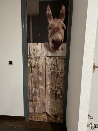 Puerta decorada con vinilo.