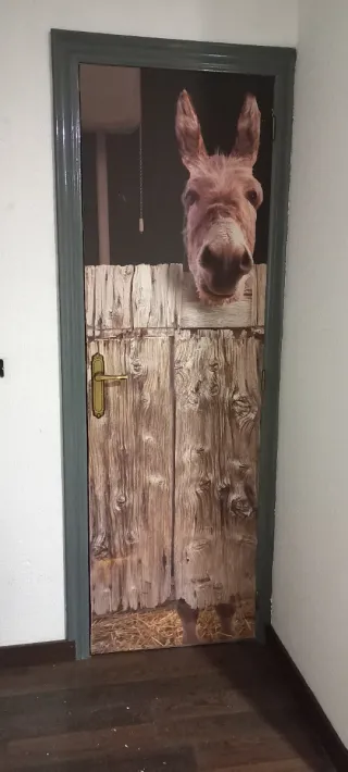 Puerta decorada con vinilo.