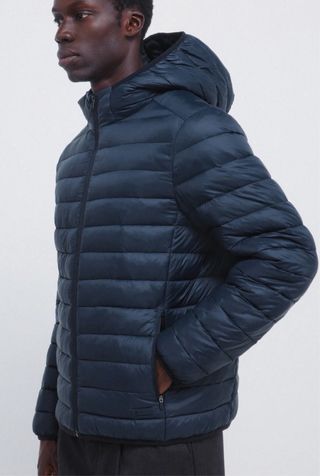 Chaqueta acolchada Springfield con capucha