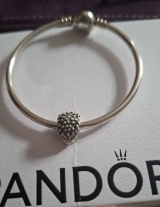 Pulsera Pandora Rígida 17cm