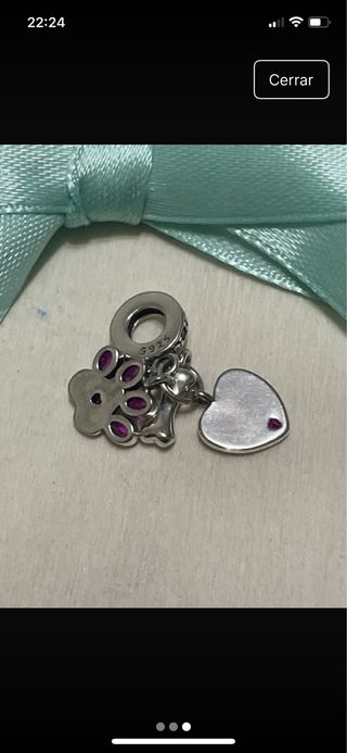 Colgante Corazón y Pata de Perro con Piedras