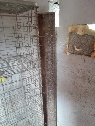 Jaula para gallinas con bebedero