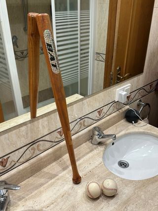 Bate de béisbol y 2 pelotas