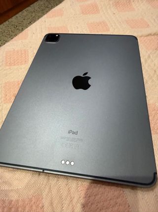 iPad Pro 11 2ª Gen