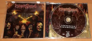 Fleshcrawl - As Blood Rains From The Sky ... We Wa