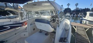 Embarcación Felco Delfyn 707 Spiryt