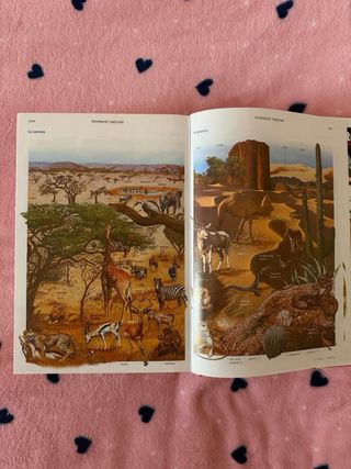 Dizionario italiano Zingarelli