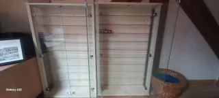 Vitrina expositora Lidl. Precio por unidad