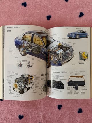 Dizionario francese Boch