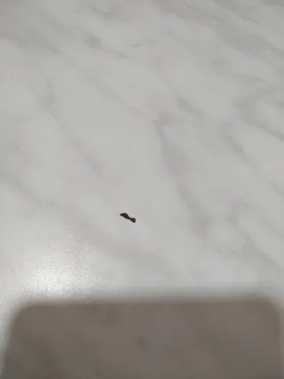 Mesa cocina, comedor o escritorio blanca y negra