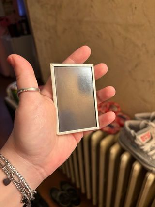 1 Calamita COME NUOVA Rarissima Biological Seeds P