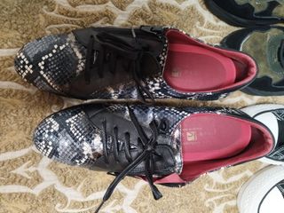 Zapatos de vestir y deportivos mujer