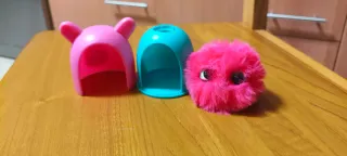 Cuty Cuty Pon Pon Polly.