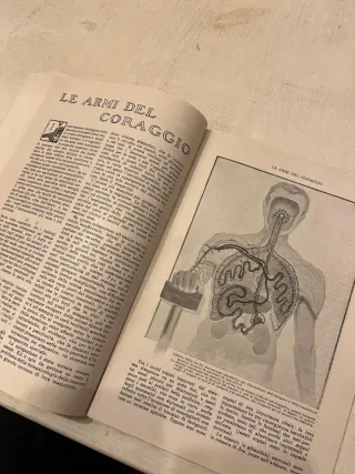 Rivista La Lettura 1917 Prima Guerra Mondiale