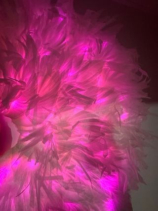 Abanicos plumas carnaval extra grandes