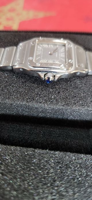 Cartier Galbee Santos EDICION LIMITADA Full Set.