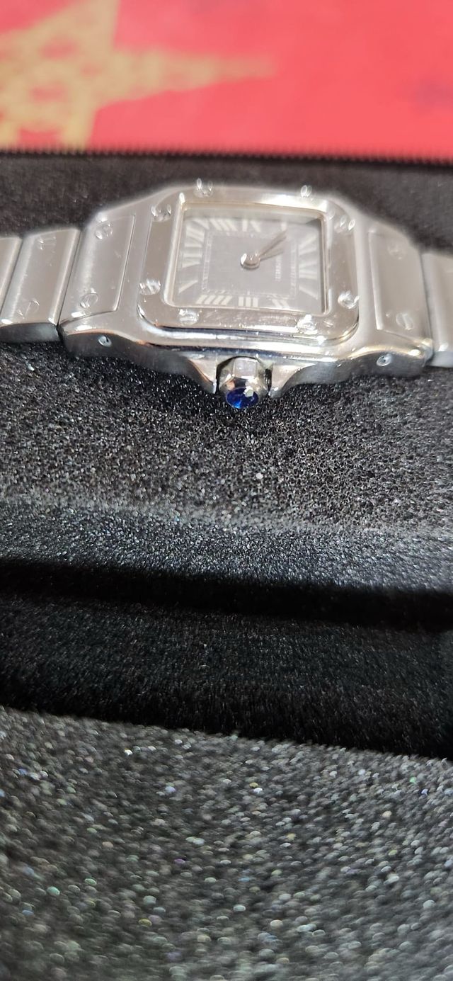 Cartier Galbee Santos EDICION LIMITADA Full Set.