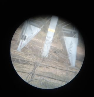 Prismáticos / binoculares Sirius 8x