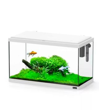 Acuario Explorer Paris 60L