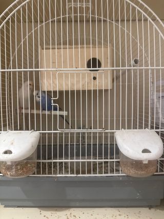 Jaula para pájaros beige y blanca