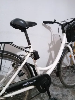 Bicicleta Urbana con Sillita Infantil