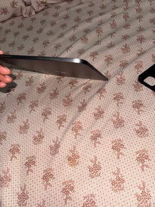 iPad Pro M4 Space Gray 7-8 meses uso