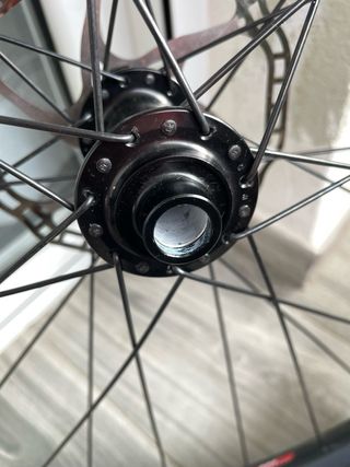 LLANTAS COMPLETAS DT SWISS 29”