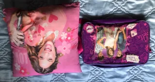 Bolso y cojín de Violetta