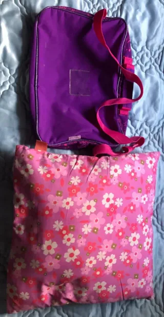 Bolso y cojín de Violetta