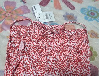 Mono veraniego ( Inside )