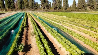 Temas oposición Operaciones y Equipos Prod Agraria