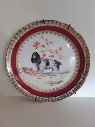 Plato Porcelana Perro Cocker