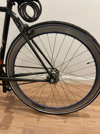 Bici Single Speed Fixie