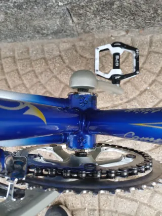 Bici Corsa Colnago Art Decor