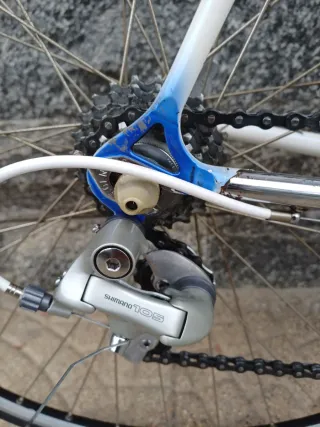 Bici Corsa Colnago Art Decor