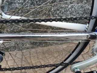 Bici Corsa Colnago Art Decor