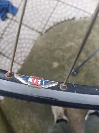 Bici Corsa Colnago Art Decor