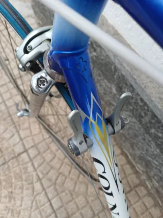 Bici Corsa Colnago Art Decor