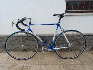 Bici Corsa Colnago Art Decor