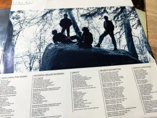 Immaculate Fools. Hearts of Fortune. Vinilo / Viny